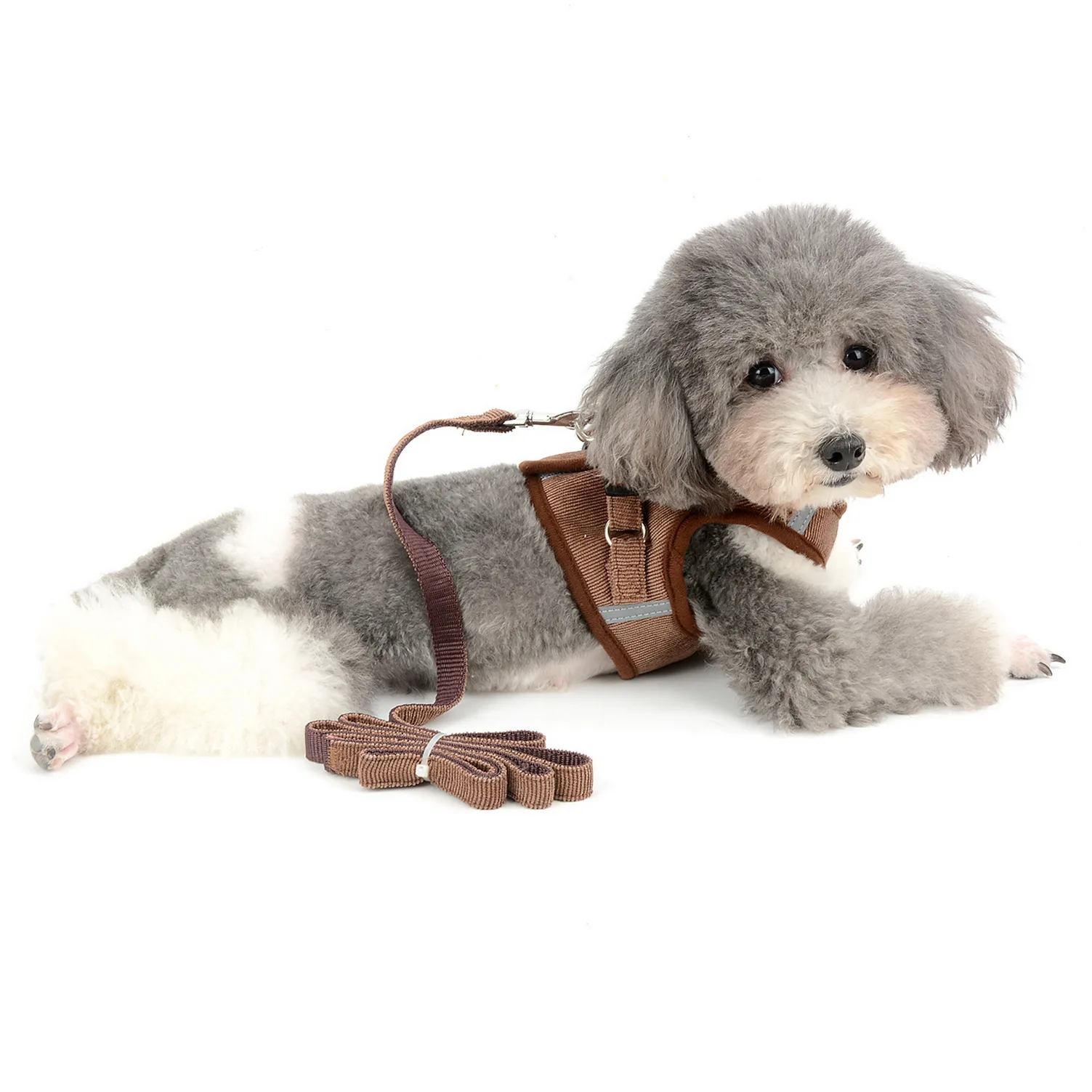 Reflective No Pull Small Dog Cat Harness and Leash for Walking Corduroy Escape Proof Soft Mesh Padded Puppy Step-in Harness