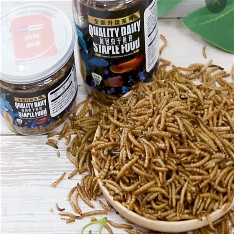 500 мл Mealworm сушеный Аквариум Пруд рыбка рептилия дикий птичий корм хомяк птичий семя ящерица черепаха Arowana Tenebrio куриный корм