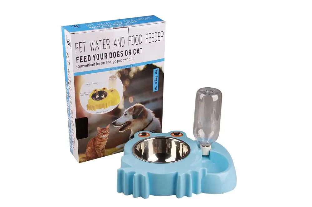 Squirrel frog cartoon dog drinking bowl (19)