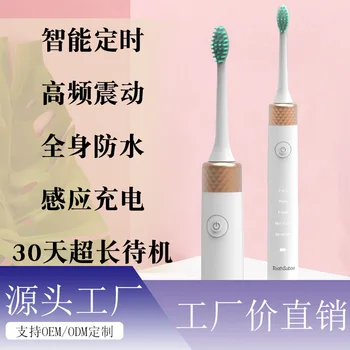 

2020 New Style Full Body Waterproof Household Adult Electric Toothbrush Five-Speed Sonic Type Portable USB Charging