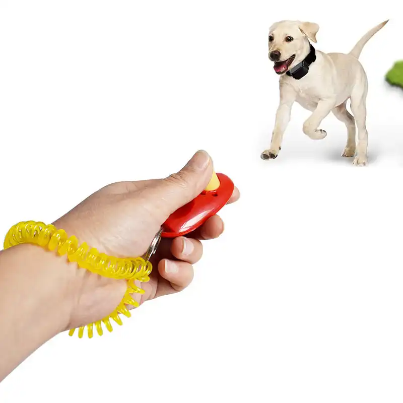 dog training clicker pets at home