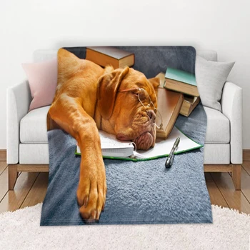 

Modern Fashion Individuality Custom Blanket Soft Summer Air-Conditioned Throw Blanket 3D Pet Dog Cat Blankets for Home Decor
