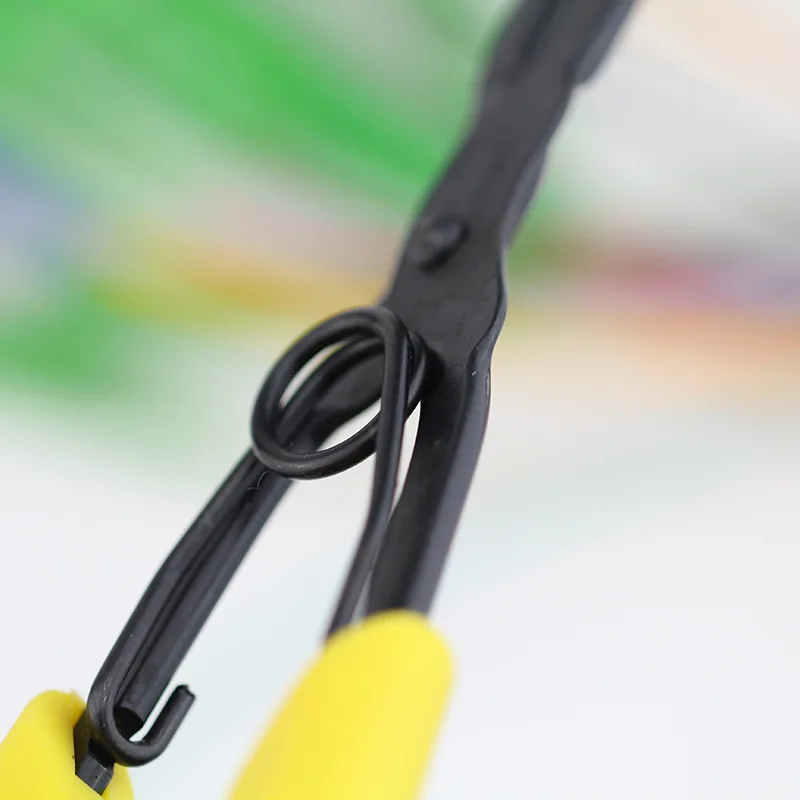 3181984336_1319666606