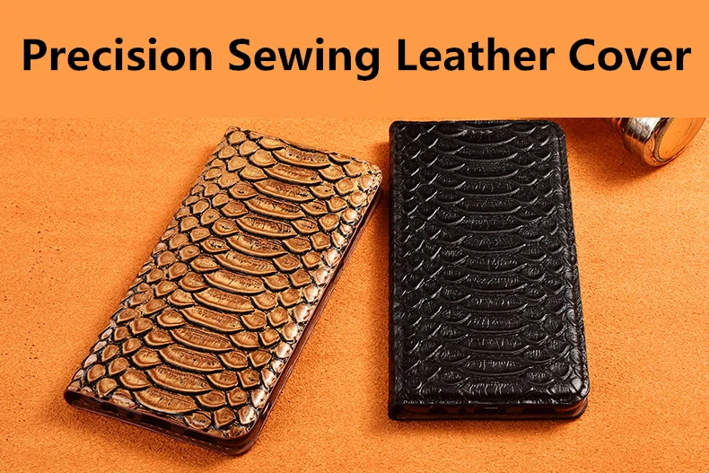 蟒蛇纹款_02_副本