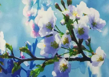 

150CM*100CM factory direct sale four-sided stretch milk silk knitted bottom plum blossom print dress swimsuit bikini fabric