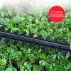 Electric Hedge Trimmer Pruning Machine 220V Household Garden Grass Cutter 600W Electric Trimmer Tree  Cutting Tool MCHD-600 4