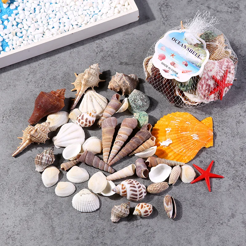 9239304352_373119200