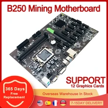 B250 Mining – carte mère PCIe X1, PCI E X16, LGA 1151, DDR4, SATA, USB 3.0, VGA DVI I, pour 12 graphiques, Bitcoin, ETH Miner