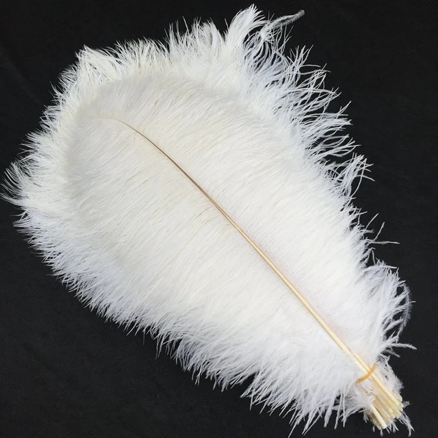10Pcs Balck White Ostrich Feathers 15-20CM 20-25CM 25-30CM Plumes Bulk for  Handicraft Dream Catcher Crafting Accessories - AliExpress