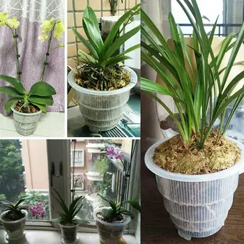 

Mesh Pot Plastic Clear Orchid Flower Container Planter Home Gardening Decoration