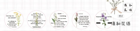 1 шт./лот клейкая лента из рисовой бумаги круг декоративный Клей Скрапбукинг DIY бумаги японские наклейки - Цвет: QingHeHuaYu