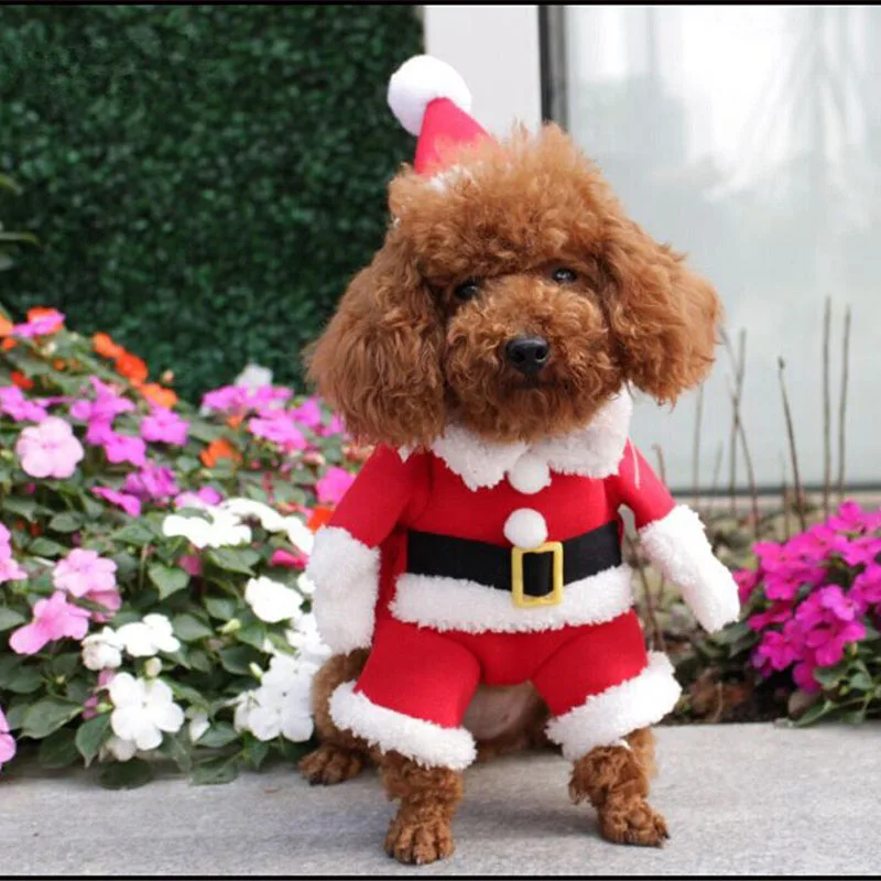 Рождественский костюм для домашних животных, костюм для собак с капюшоном, пальто Санта-Клауса, толстовки для маленьких собак, кошек, забавный щенок, одежда для рождественской вечеринки, SEP99