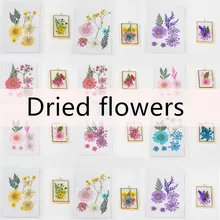 QIAOQIAO DIY сушеные цветы Лист УФ Смола Украшение Цветок сухой для маникюра ногтей наклейки эпоксидная форма DIY наполнение ювелирных изделий