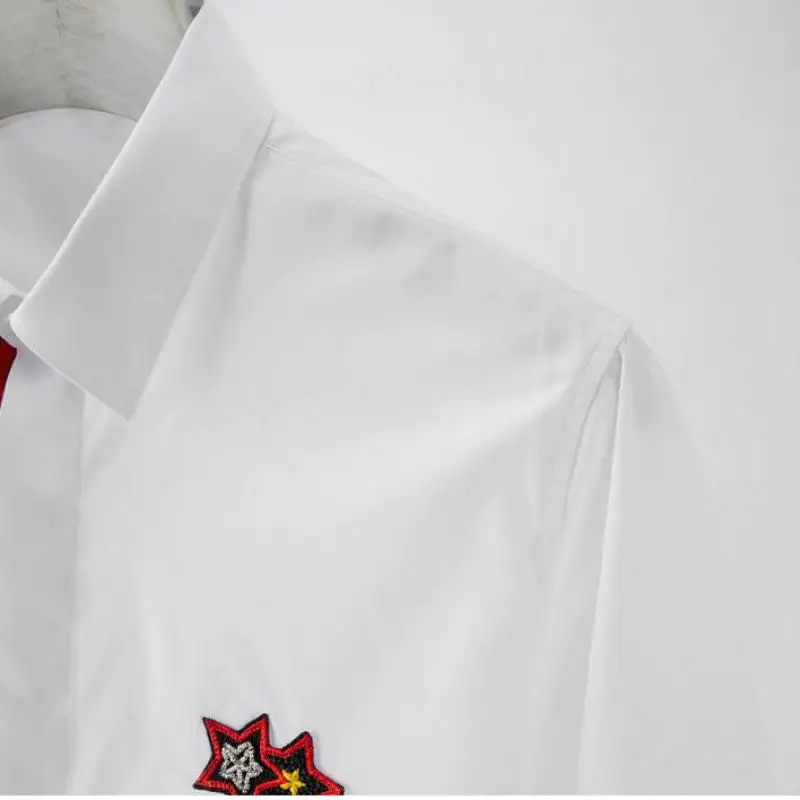 Minglu мужские рубашки Роскошные Ленты Placket с длинным рукавом мужские s рубашки Двойная Звезда вышивка рубашки мужской большой размер 4xl тонкие мужские рубашки