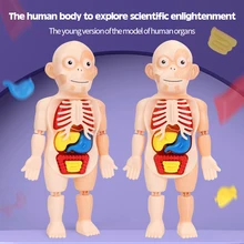 Jouets Montessori pour enfants, Puzzle éducatif 3D, anatomie du corps humain, ensemble de jouets d'apprentissage, outils de biologique, jeux de société
