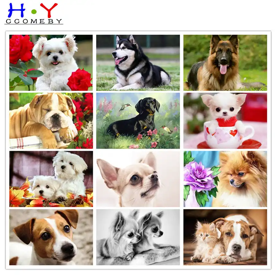 Полноразмерная Алмазная картина HYCCOMEBY с собакой 5D сделай сам животное алмазная