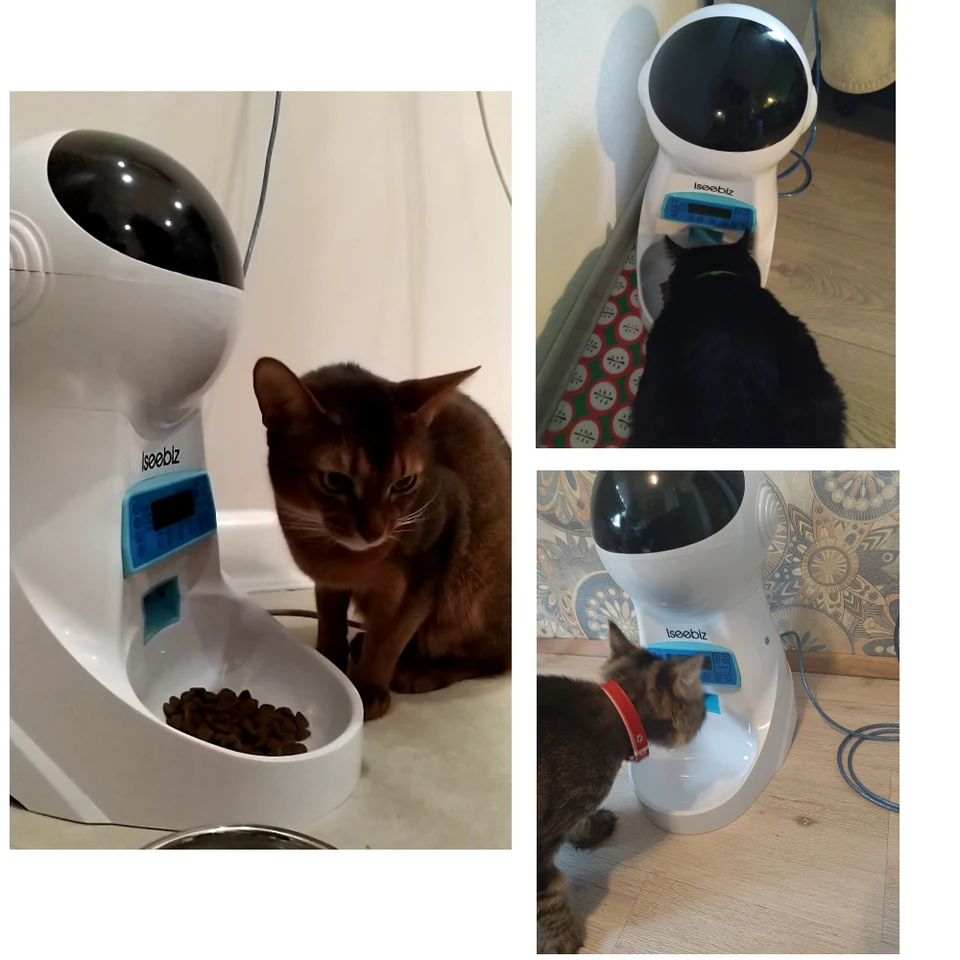 Iseebiz Wifi Automatic Cat Feeder 3l Pet Food Dispenser Feeder