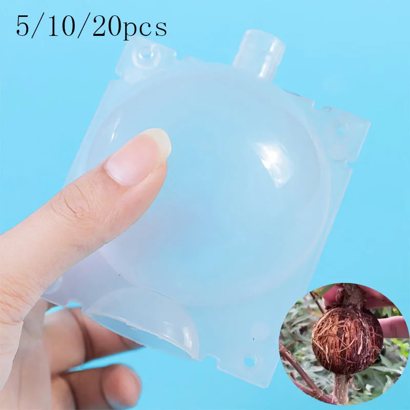 Garden Plant root growing case box tree flower Grafting Rooter Ball Rooting breeding High-pressure fruit Transparent