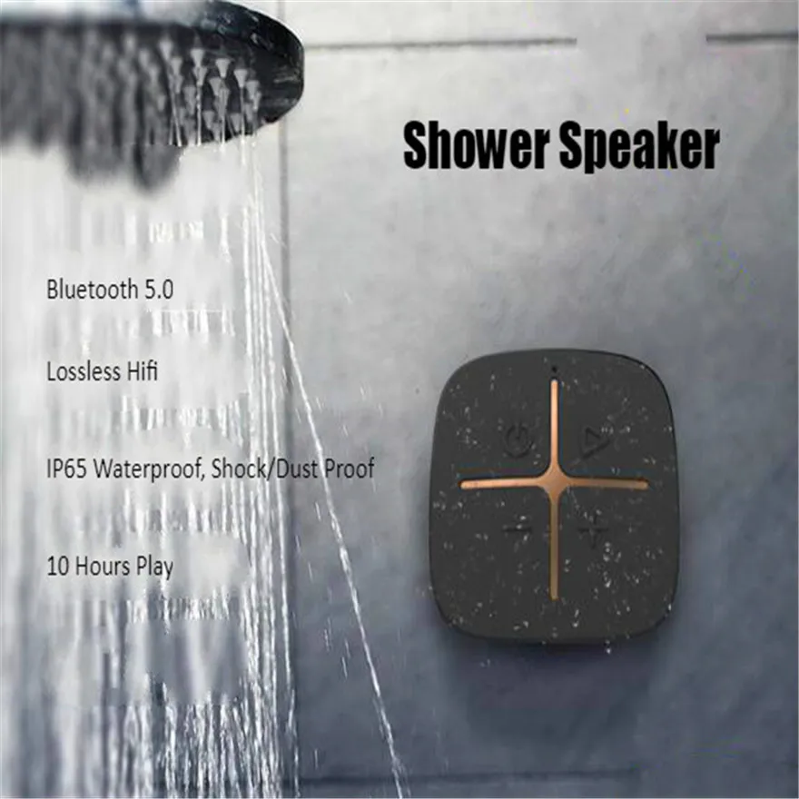 shower audio system