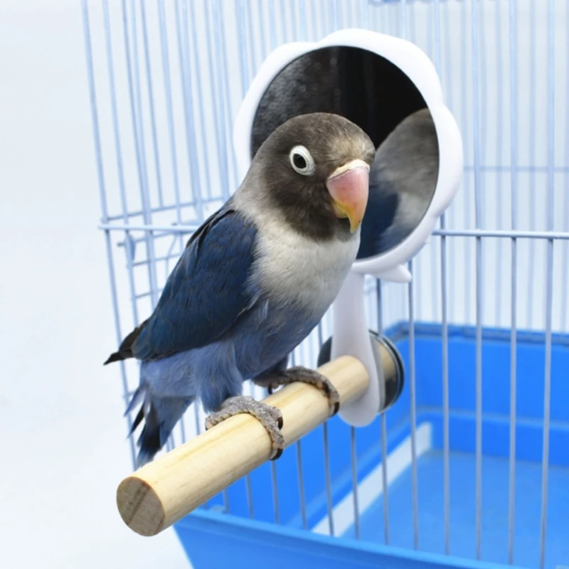 Parrot Perch Triangle Frosted Hen Stand Wood Table Top Play Toy for Hens Handmade Swing Bird Large With Mirror | Дом и сад