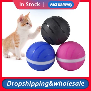 

Newest Pet Ball Toy Waterproof Pet Wicked Ball Anti-bite Environment Friendly Pet Cat Playing Ball Support Dropshipping