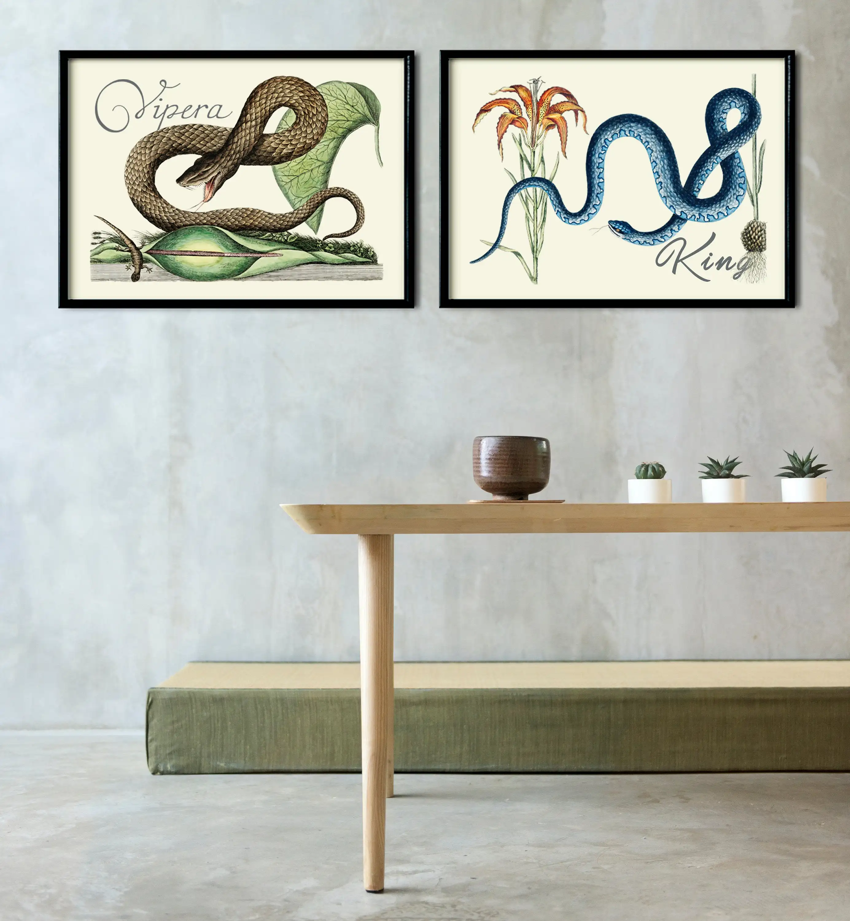 Винтажные принты Viper, иллюстрации из 1920-х годов, профессиональные жикле принты, Viper и King змеи, ботаническое искусство стены, Poiso