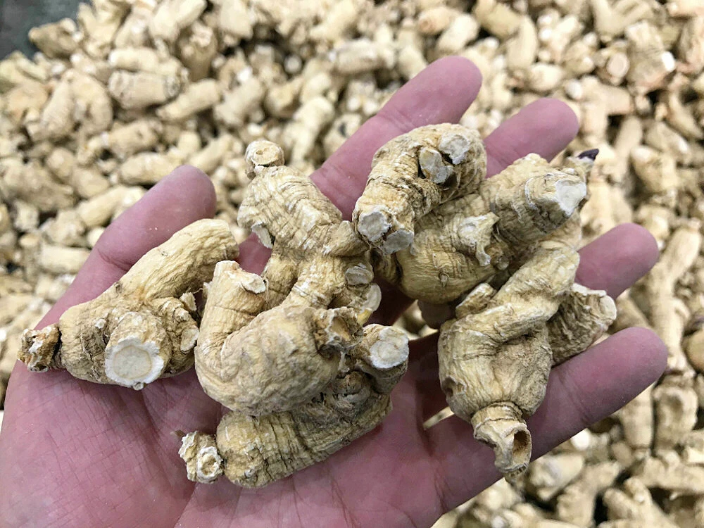 Panax quinquefolium полностью 500 г changbay горный супер-сорт Citi женьшень здоровые продукты американский женьшень