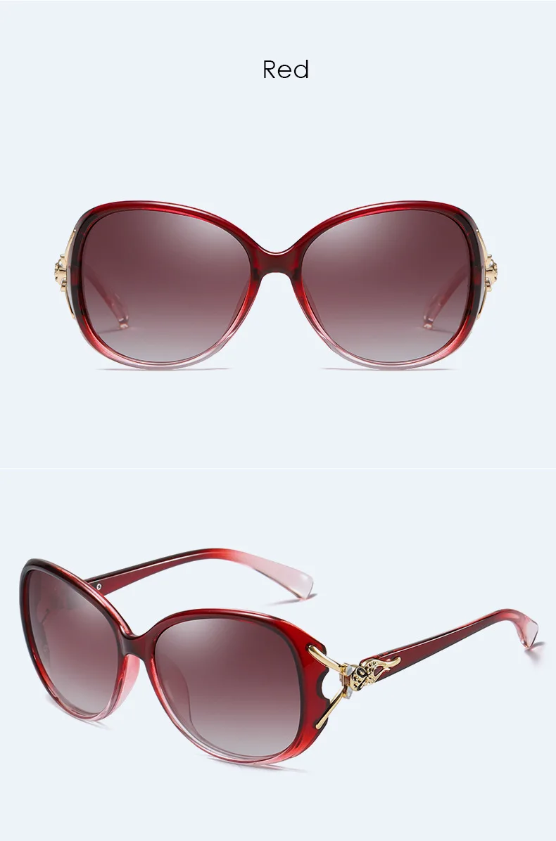 9022074006_2030257556