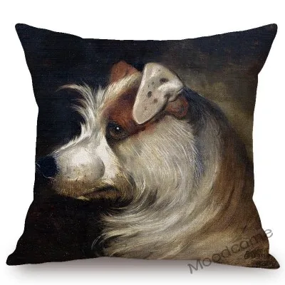 conew_n387 (45) 副本