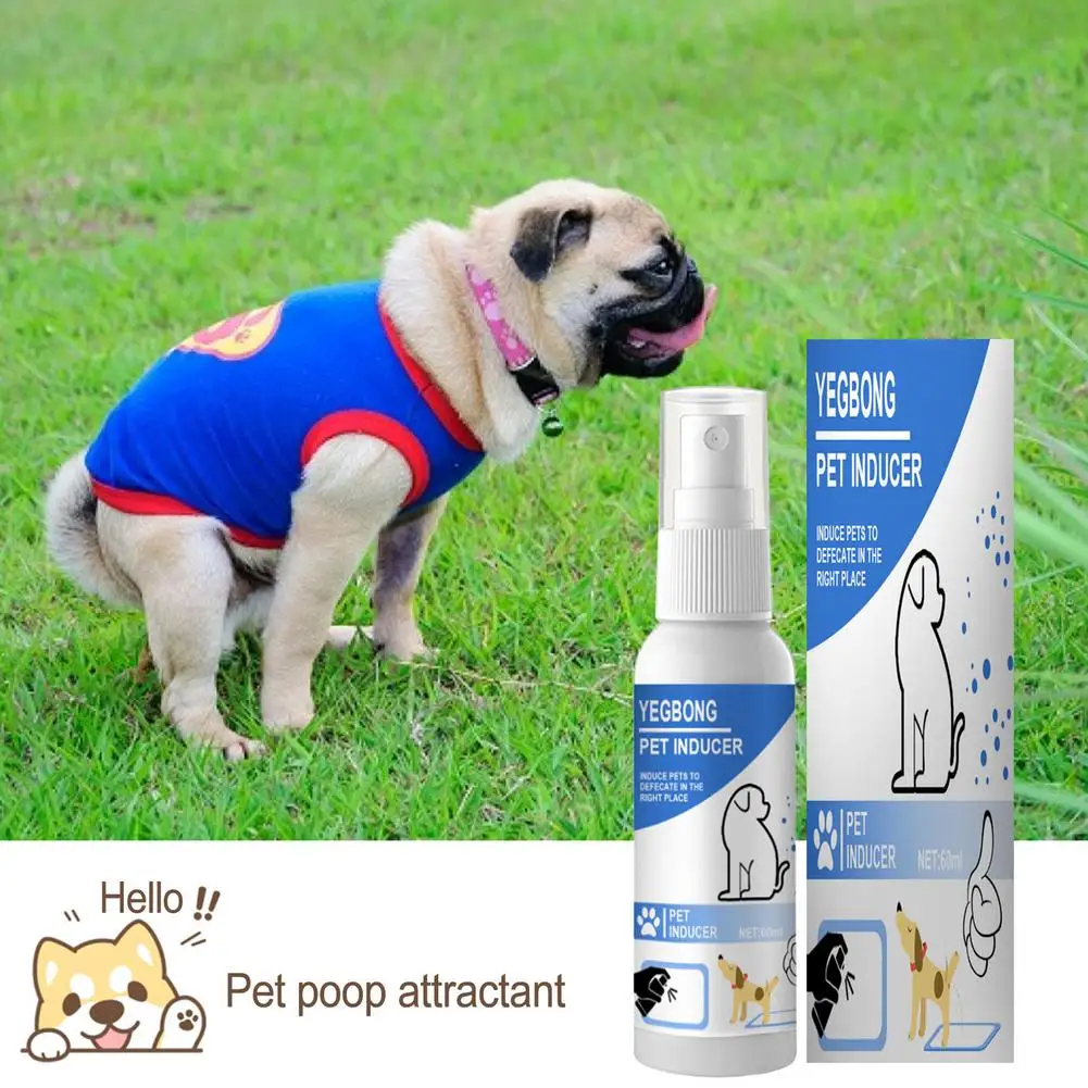 60ml Pet Training Spray Dog Potty Inducer Tool For Outdoor Toilet Puppy Positioning Dropshipping |