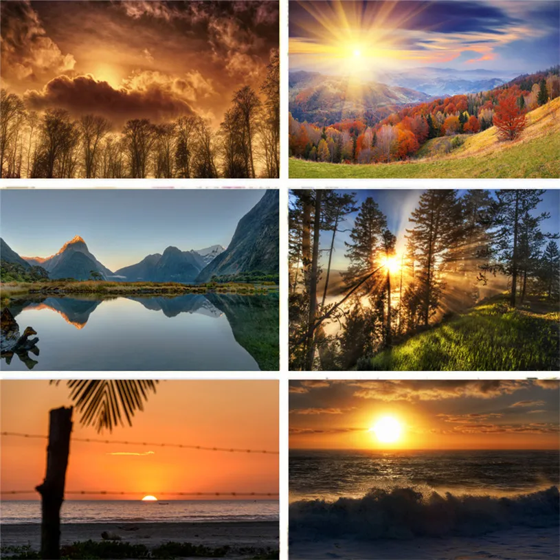 Photo Studio Photography Backdrop Natural Scenery Sunset Lake Woods Vinyl Background Cloth Wedding Take Pictures Props | Электроника