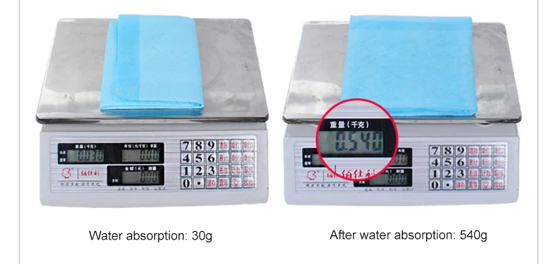 9229832321_1950391245