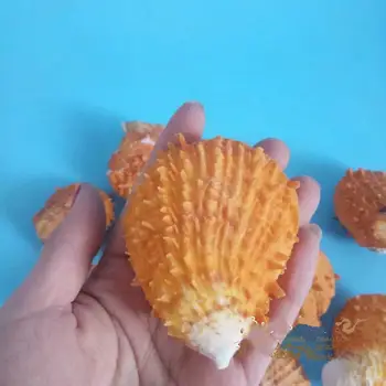 

Natural conch shell clams Natural Beach Shell Table Decor DIY Craft Beach Mixed Sea-Shells Aquarium Bulk Sea Shells Ornamental