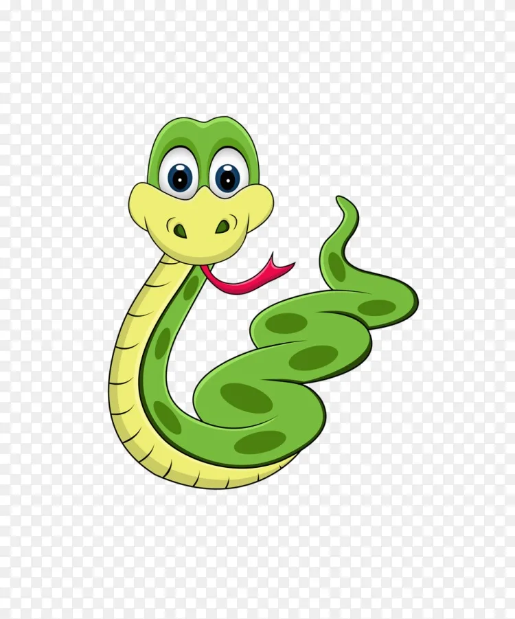 蛇 蟒蛇 剪贴画 编程语言 Anaconda 南边毒蛇png图片素材免费下载 图片编号 Png素材网