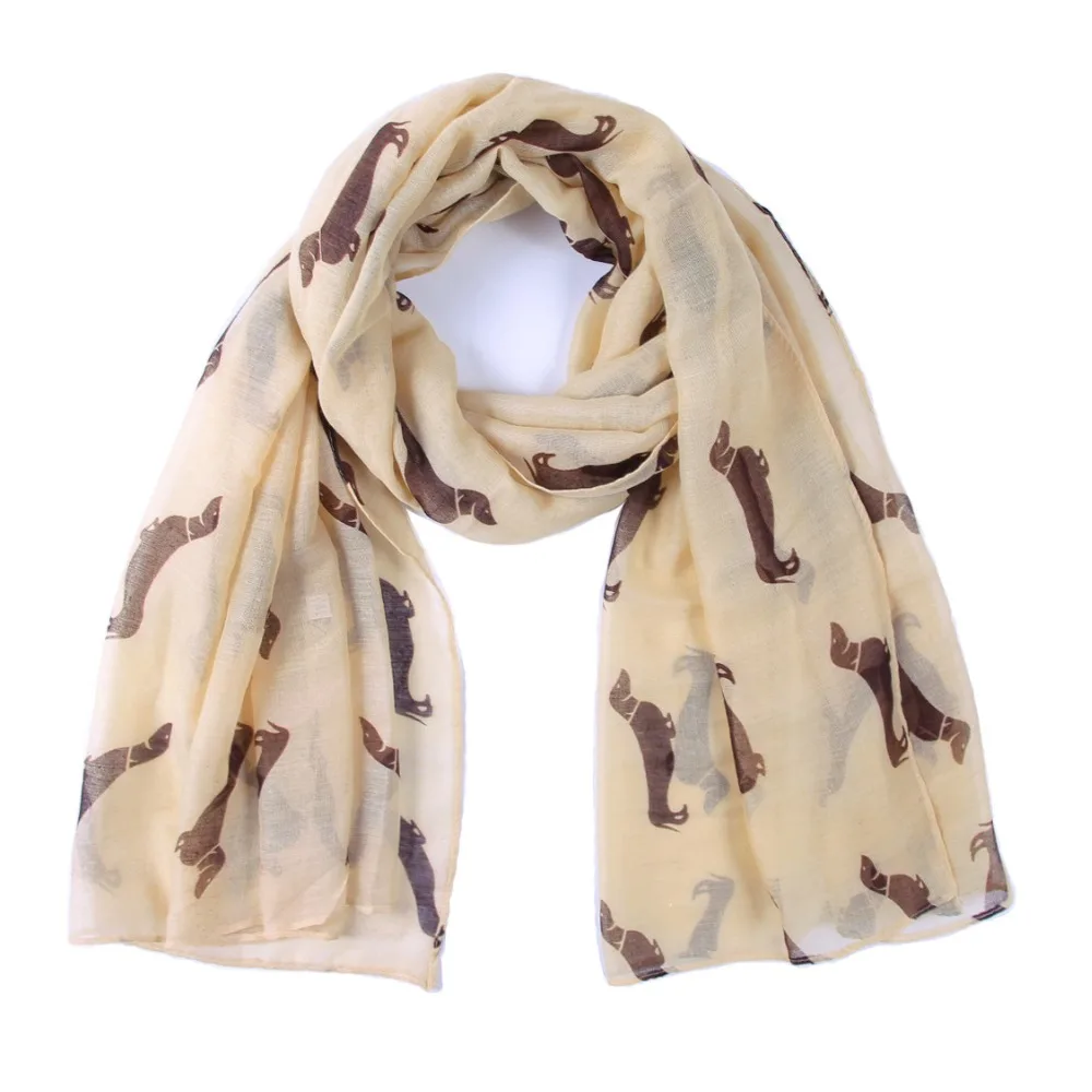 11123346482_1237927820