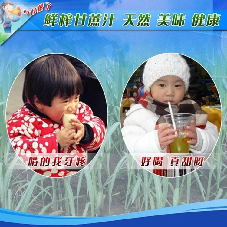 Новое руководство нержавеющая сталь многофункциональный коммерческий соковыжималка для сахарного тростника сахарный тростниковый сок extractor выжималка соковыжималка