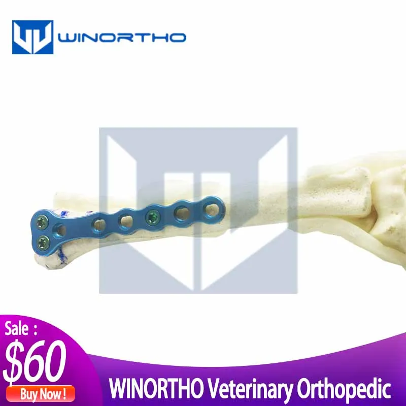 Locking-Plate-System Orthopedic-Instruments Surgical-Equipment Veterinary-Use Animal