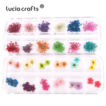 

1/2box/lot Dried Flowers Nail Art Natural Dried Flowers Confetti Birthday Cake Scrapbook Decor DIY Sewing Craft Y0114