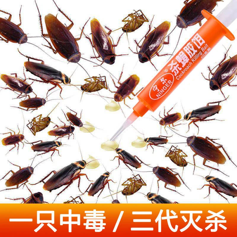 餌強力なブルートフォースゴキブリ薬物注射針ゴキブリ餌ラウンドすべて敵一挙 Aliexpress Home Garden 餌強力なブルートフォースゴキブリ薬物注射針ゴキブリ餌ラウンドすべて敵一挙 Aliexpress Home Garden
