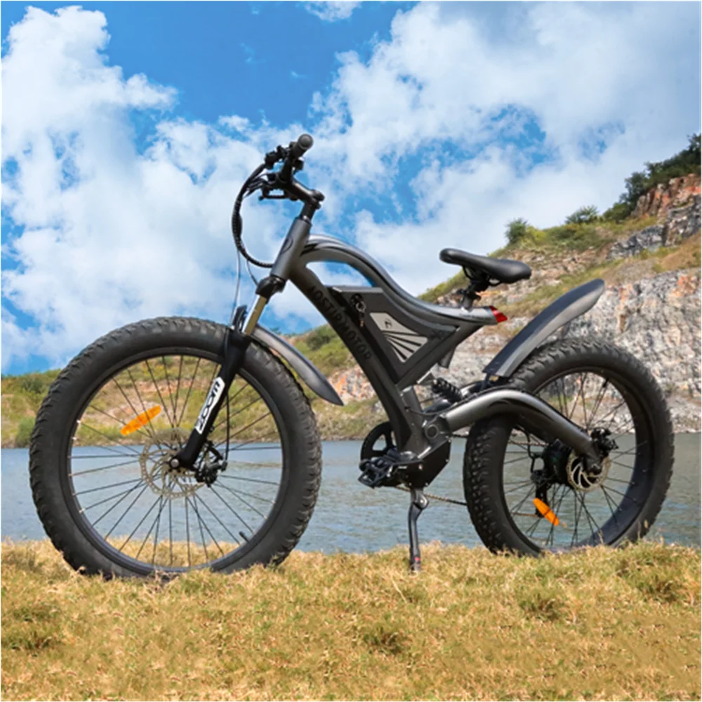 Aostirmotor S18 Electric Bicycle 750w 
