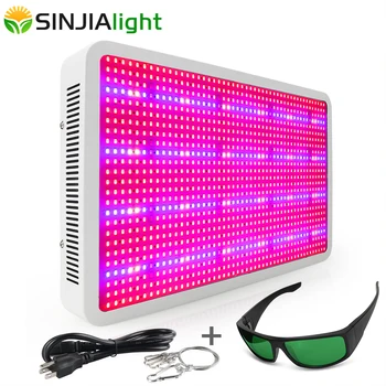 

1200W 1000W 800W 600W 300W LED Grow Light Full Spectrum with Glasses Led Plant Lamp for Fruits Vegs Grow Tent Greenhouse