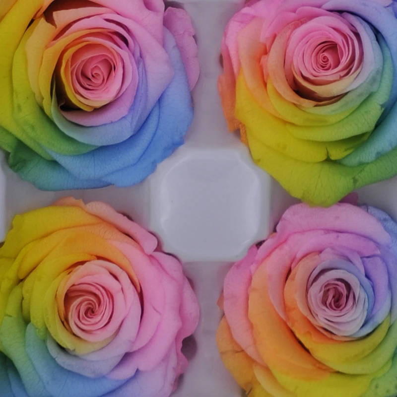 

8pcs/box Big Sales Cololful Rose Preserved Flowers Immortal Rose Mothers Day Wedding Eternal Life Valentine's Day Rose DIY Gift