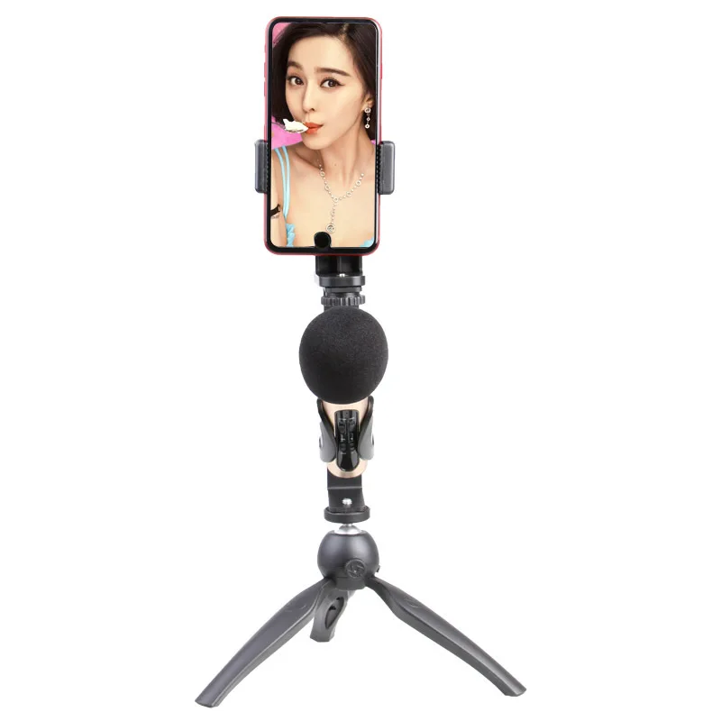 

LT-28T Live Useful Product Set Multi-functional Photo Shoot Live Selfie Holder Anchor Rack KTV Microphone Wholesale
