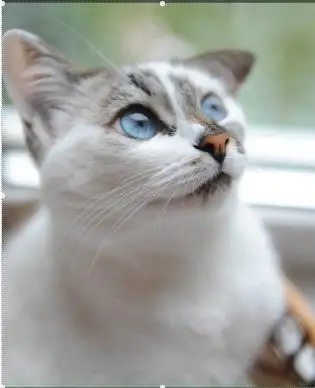 360截图20191226212540340