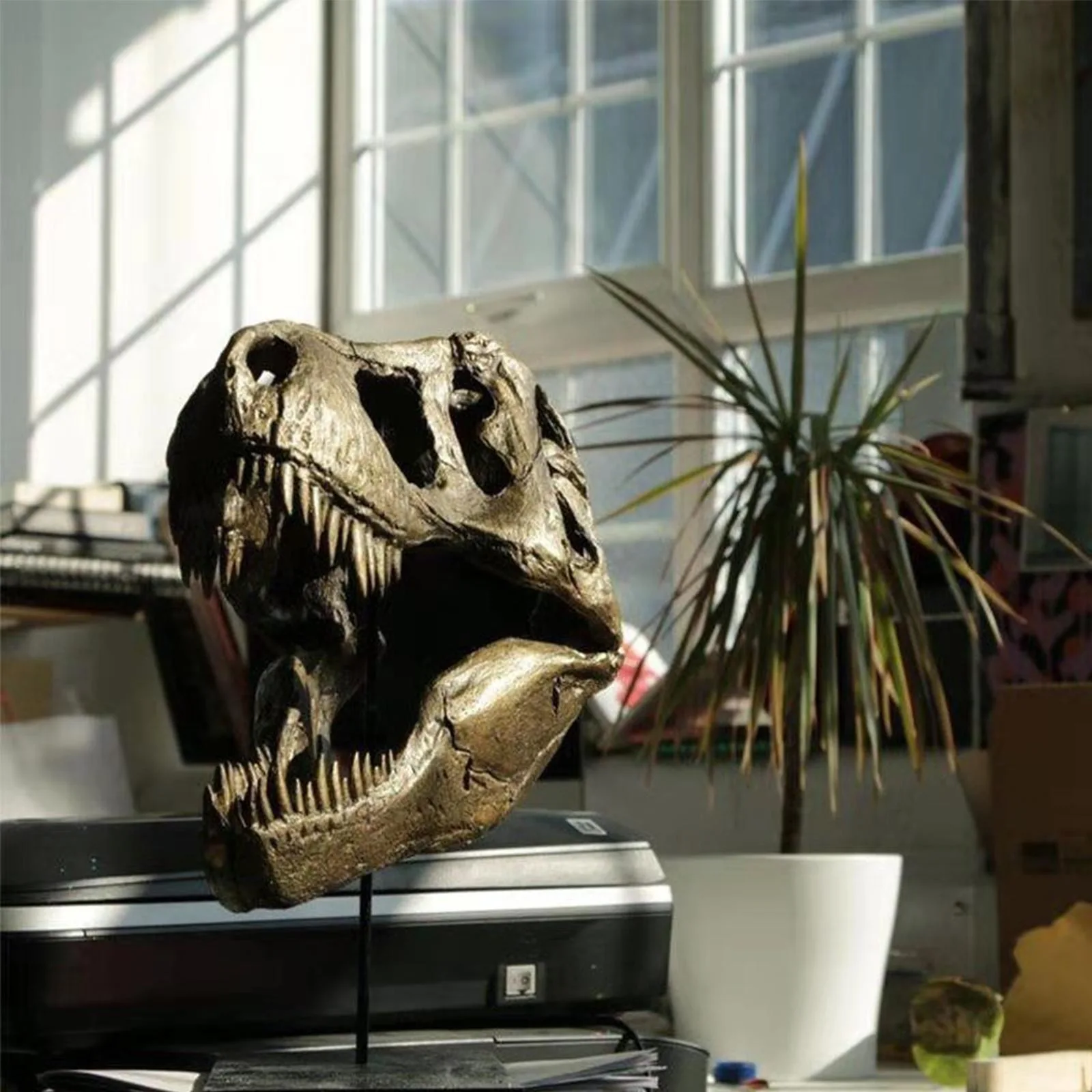 

Crafts Arts Crafts 1/12 Tyrannosaurus Rex Dinosaur Skull Handicrafts Resin Fossil Simulation Skull Model For Collectibles