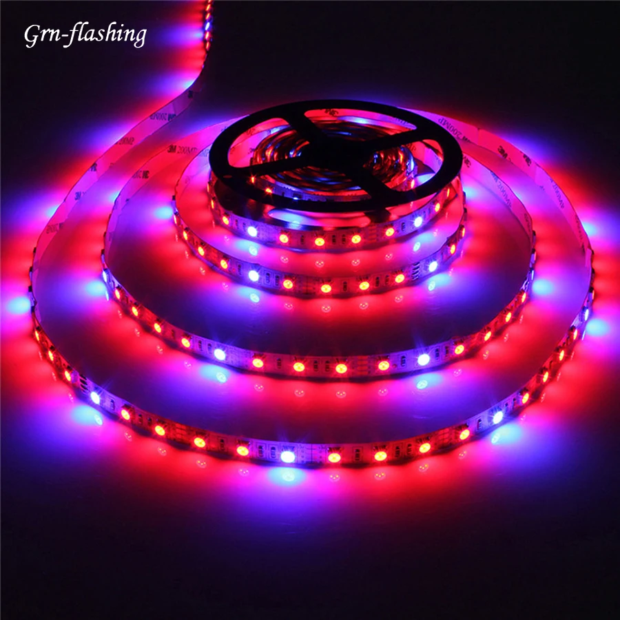 #Best DC 12V LED Grow Tape Lights SMD 5050 1m 2m 3m 4m 5m Red Blue 31 Indoor Hydroponics Plant Strip Lamp Seedlings Phytolamp Flower