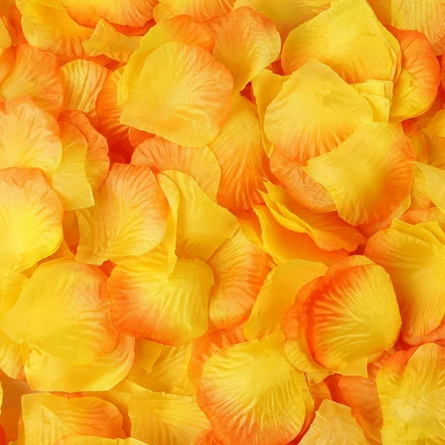 Yellow Rose Petal Background