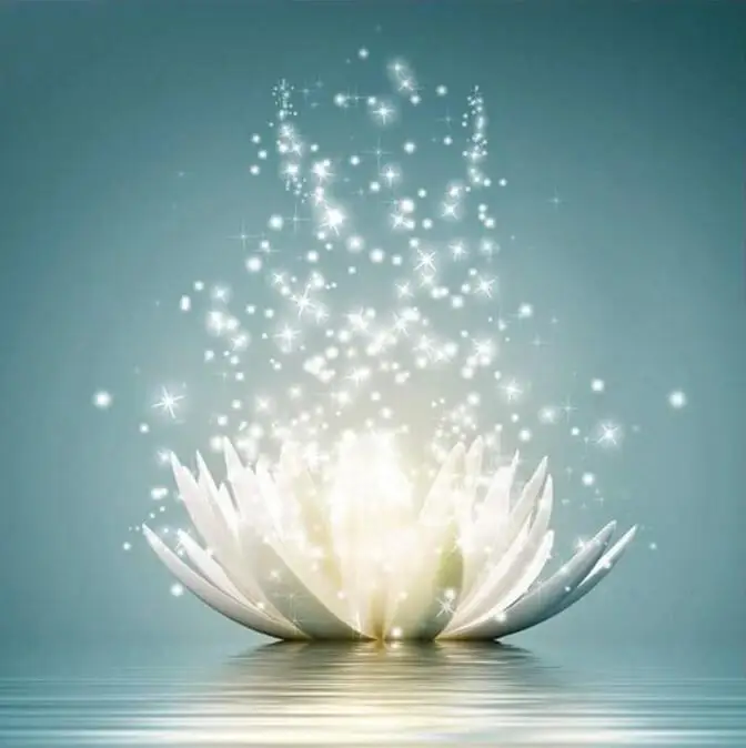 

Full Square/Round Drill 5D DIY Diamond Painting "Water Lotus" 3D Rhinestone Embroidery Cross Stitch 5D Decor Gift