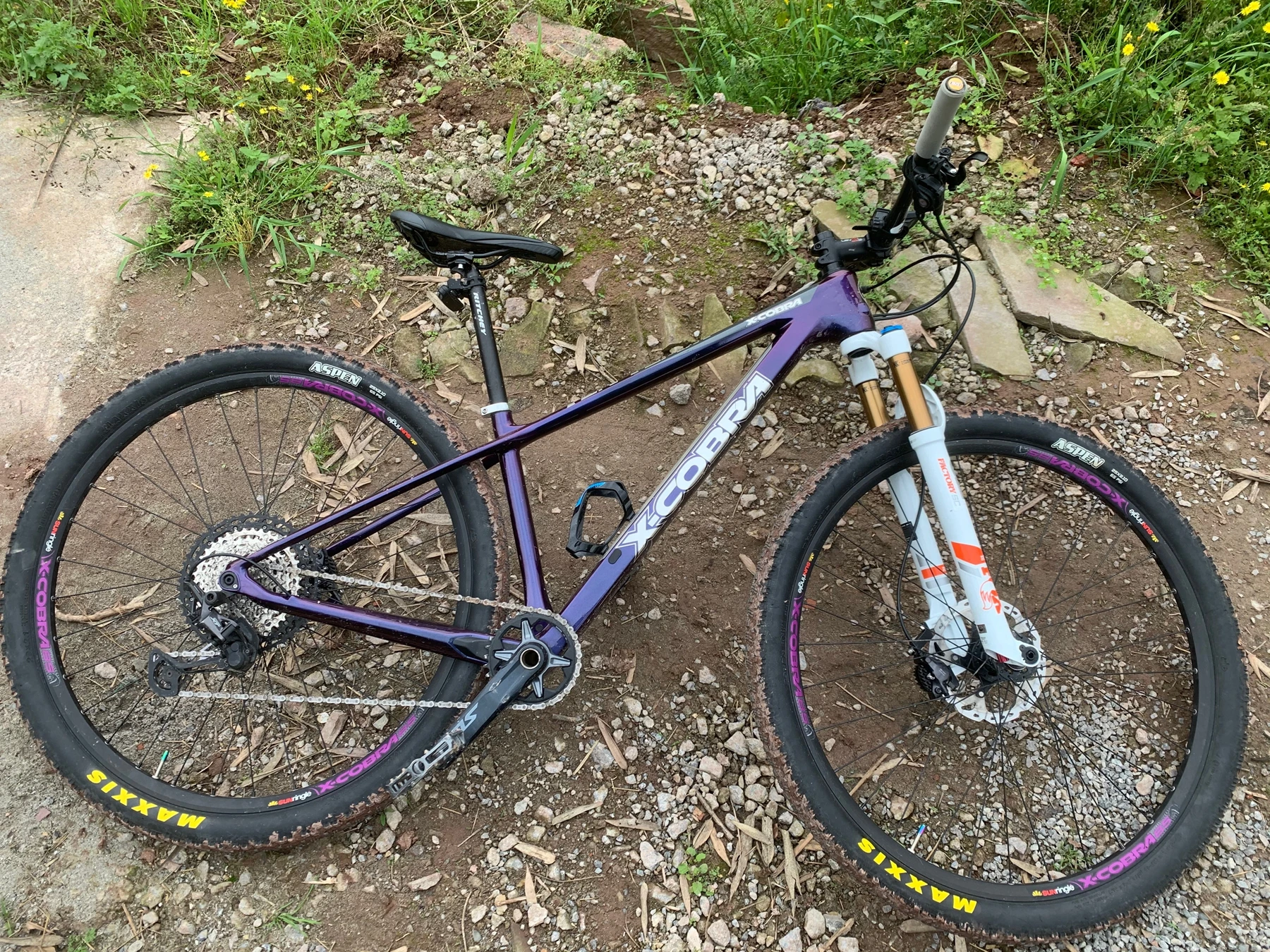 mountain bike cobra