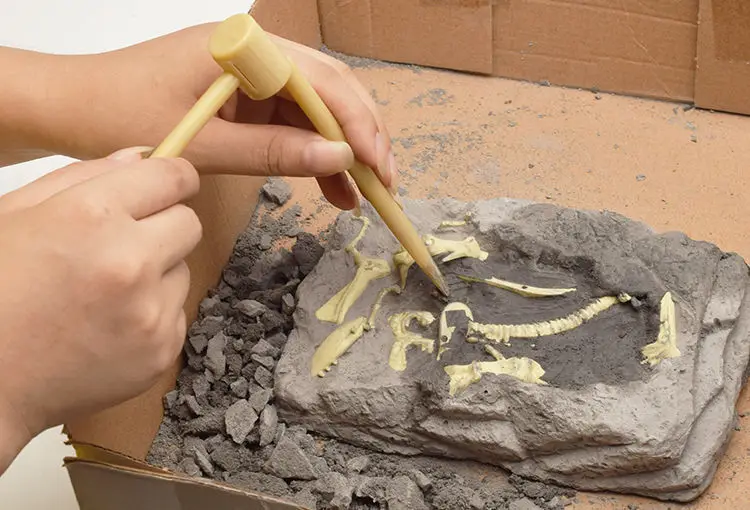 Dig динозавр ручной работы DIY собранный скелет T-Rex модель динозавра Fossil Archeology Dig игрушка набор
